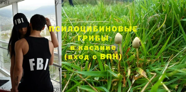 МДПВ Армянск