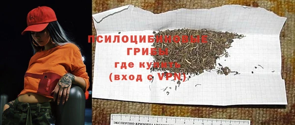 дмт Арсеньев