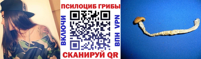 Галлюциногенные грибы Magic Shrooms  Пугачёв 
