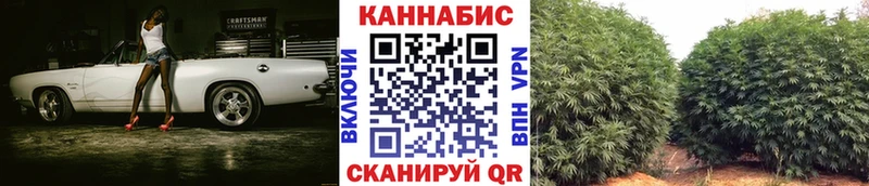 Бошки Шишки план  Пугачёв 